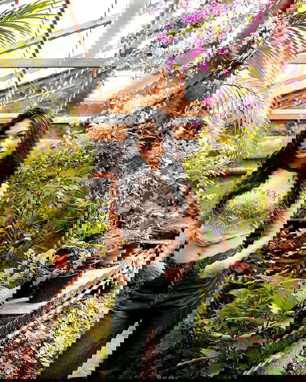 siyamore_ image ~ Altpins