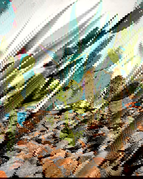 siyamore_ image ~ Altpins