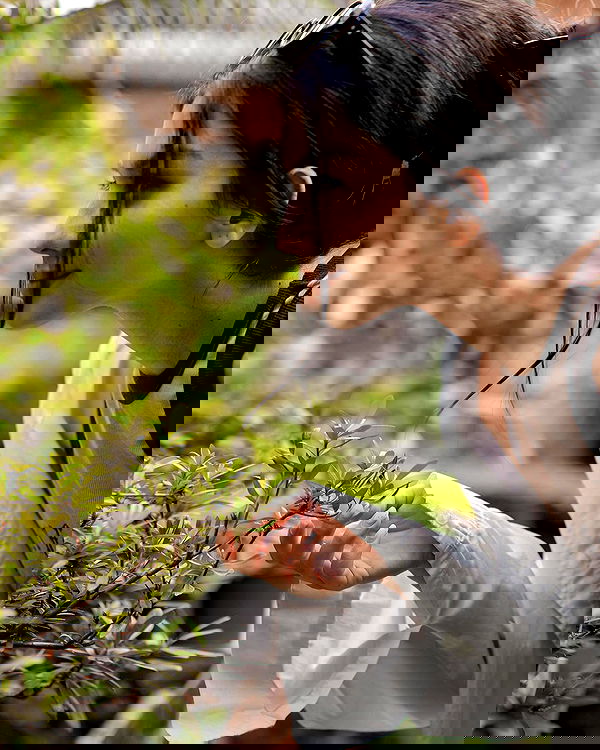 siyamore_ image ~ Altpins