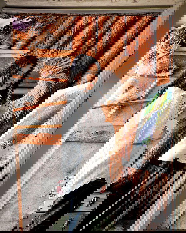 siyamore_ image ~ Altpins