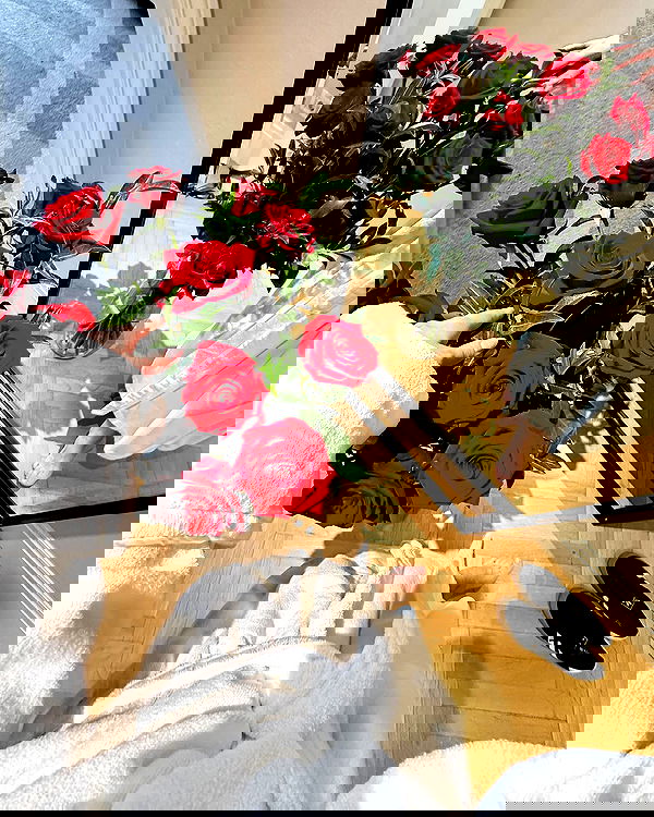 siyamore_ image ~ Altpins