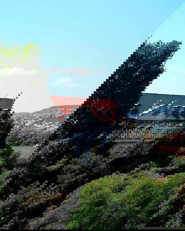 siyamore_ image ~ Altpins