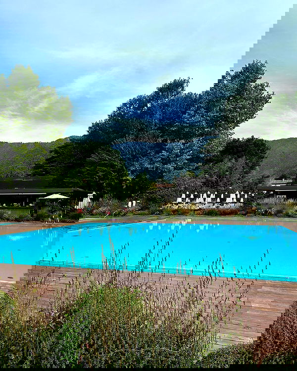 siyamore_ image ~ Altpins