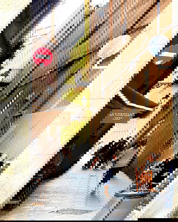 siyamore_ image ~ Altpins