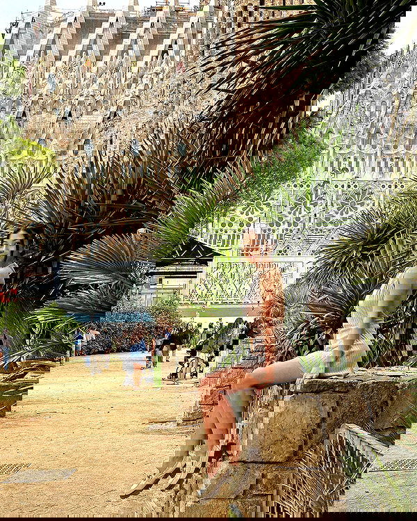 siyamore_ image ~ Altpins