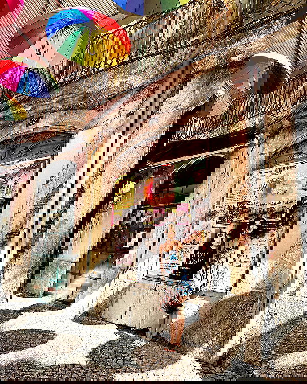 siyamore_ image ~ Altpins