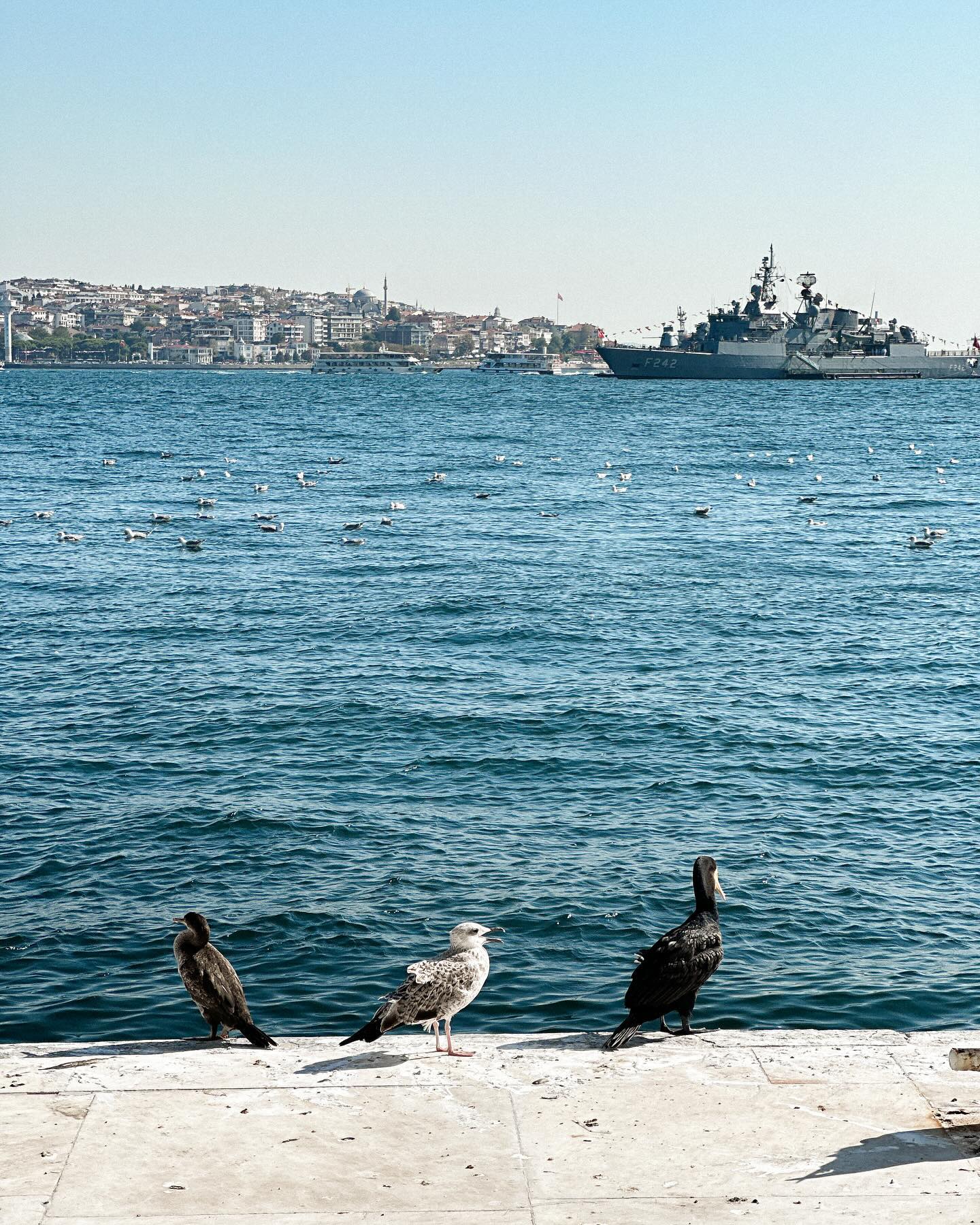 siyamore_ instagram image archive image