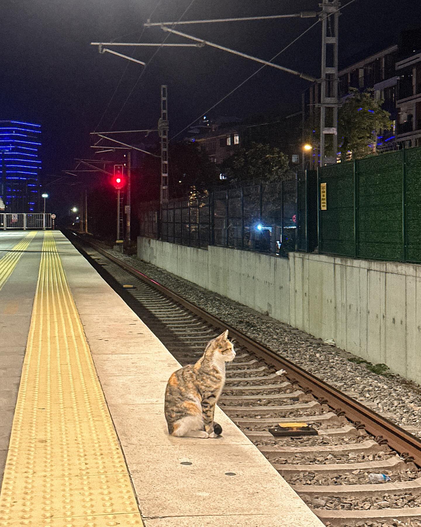 siyamore_ instagram image archive image