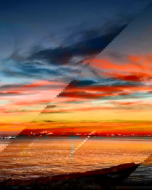 siyamore_ image ~ Altpins