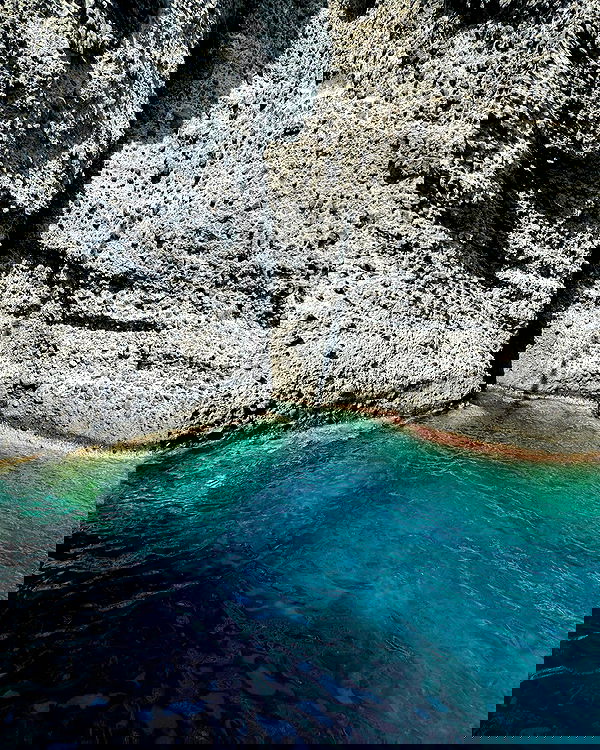 siyamore_ image ~ Altpins