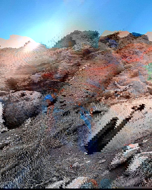 siyamore_ image ~ Altpins