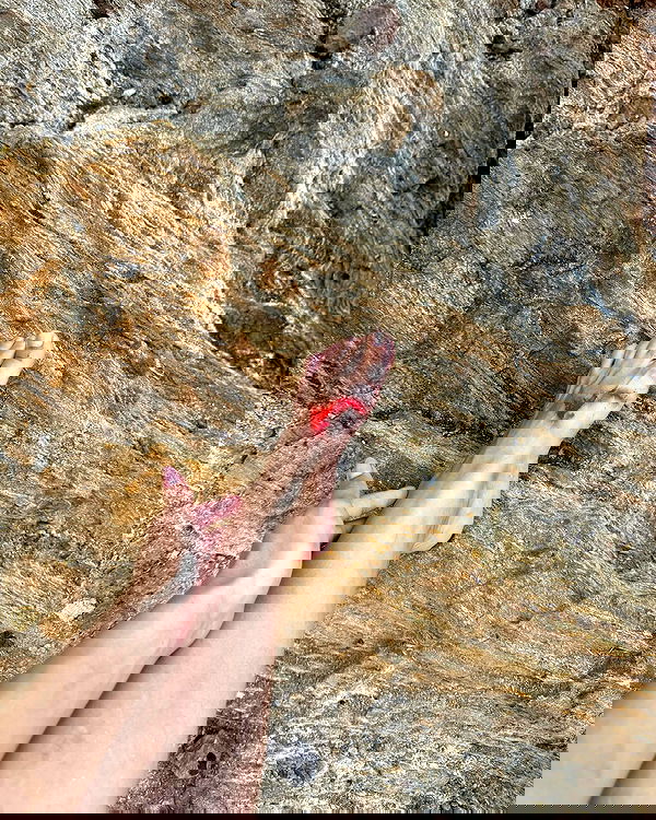 siyamore_ image ~ Altpins