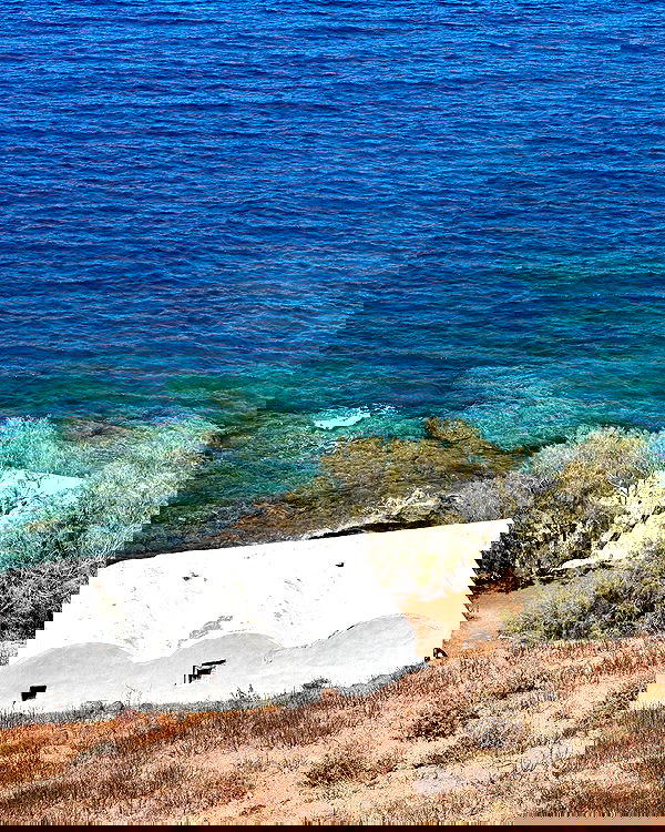 siyamore_ image ~ Altpins