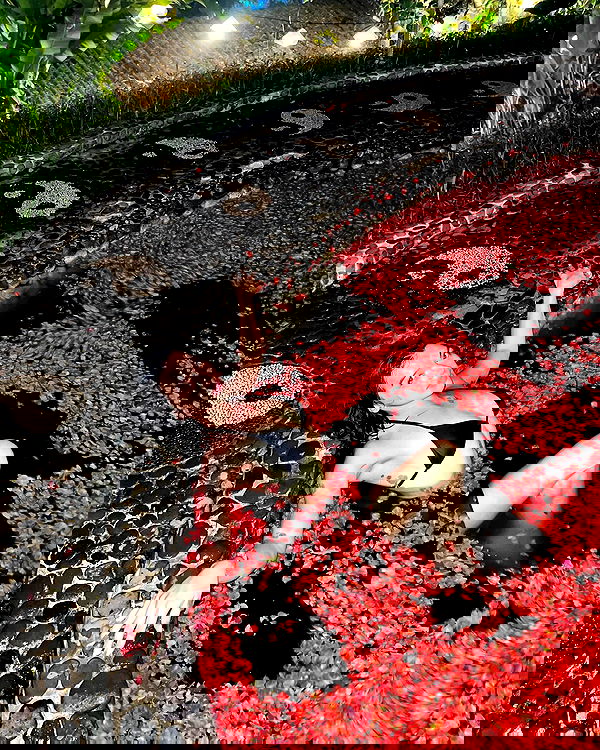 siyamore_ image ~ Altpins