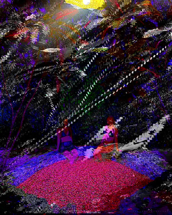 siyamore_ image ~ Altpins