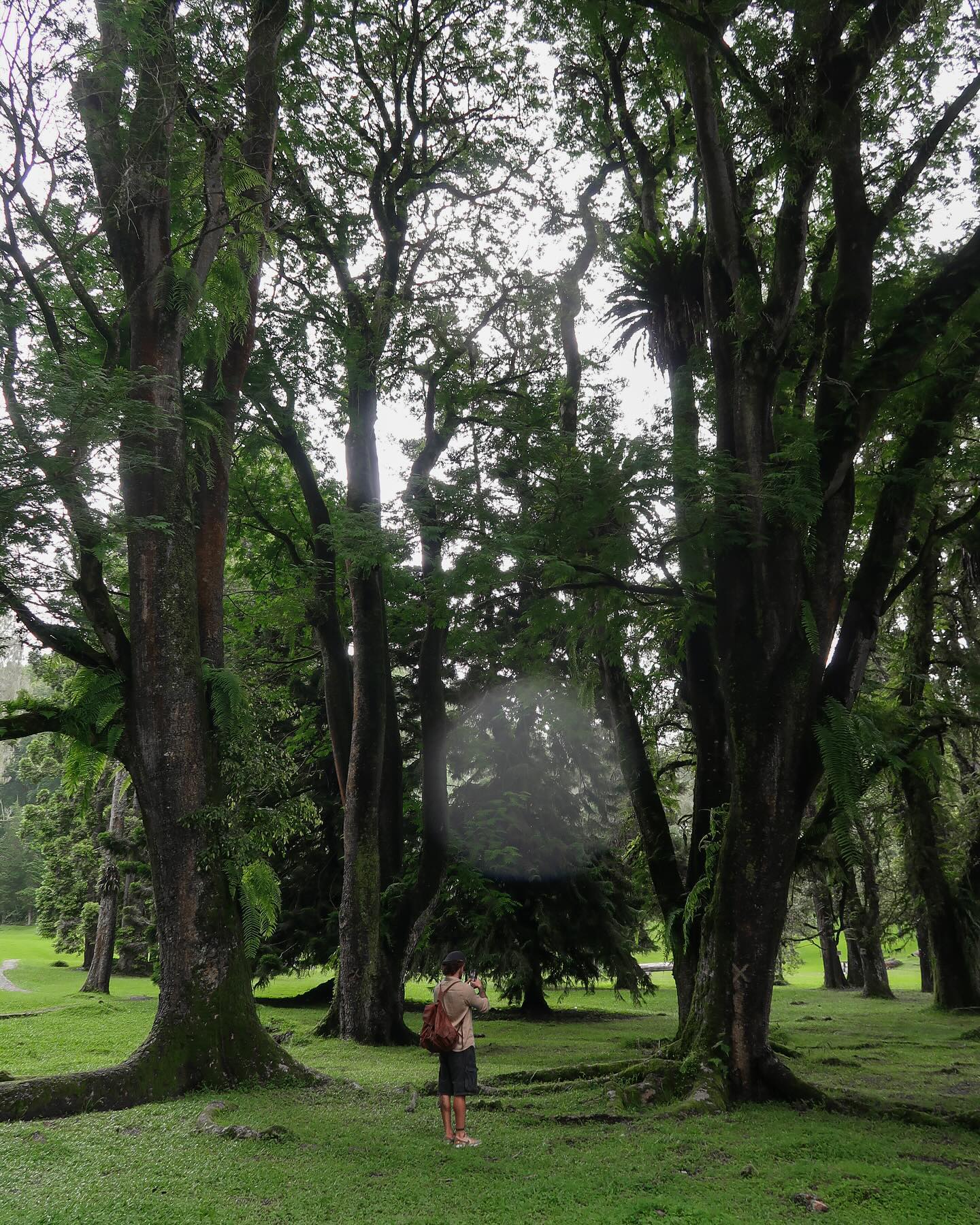 siyamore_ instagram image archive image