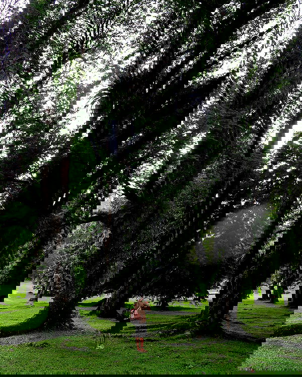 siyamore_ image ~ Altpins