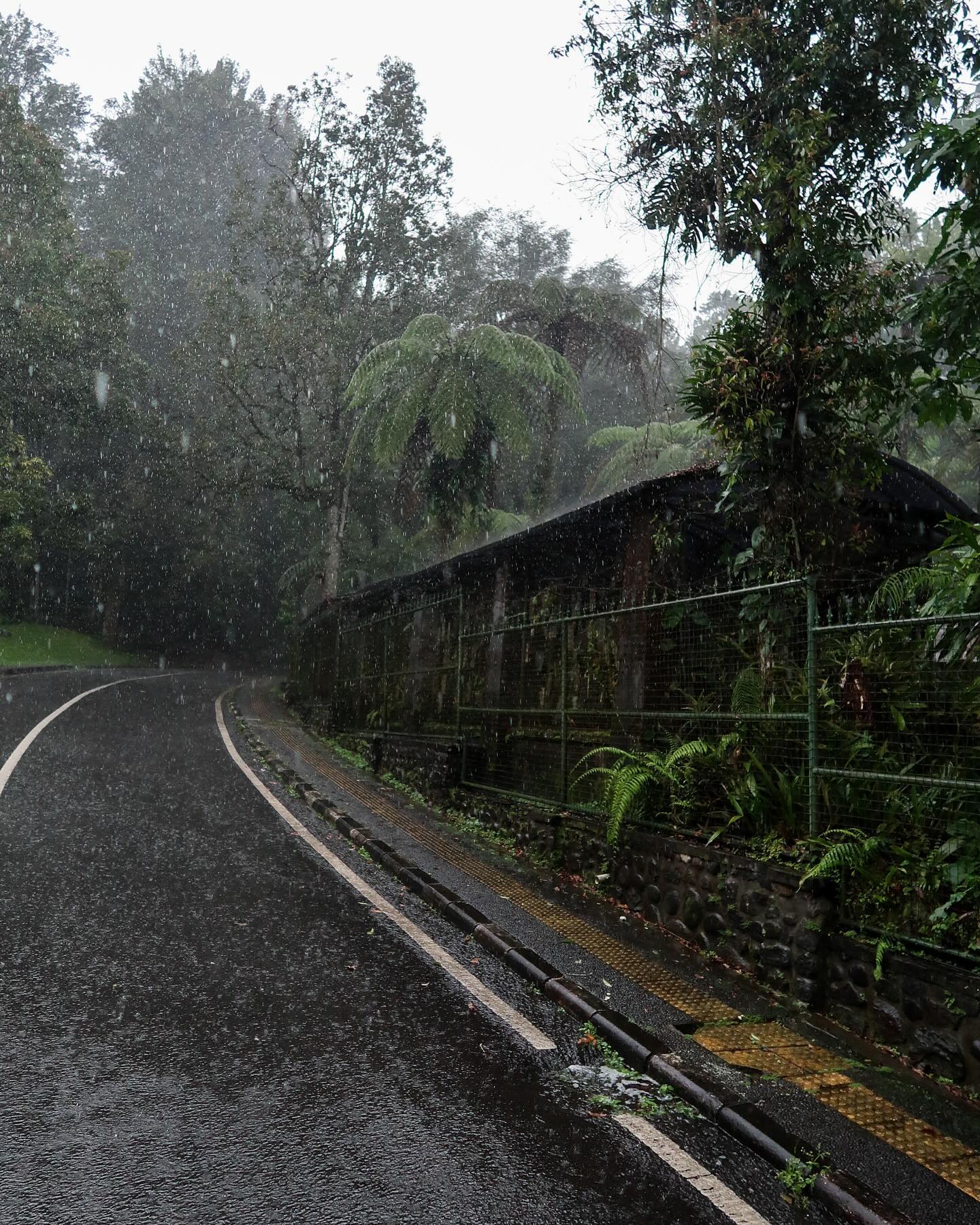 siyamore_ instagram image archive image