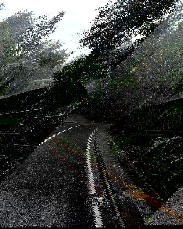 siyamore_ image ~ Altpins