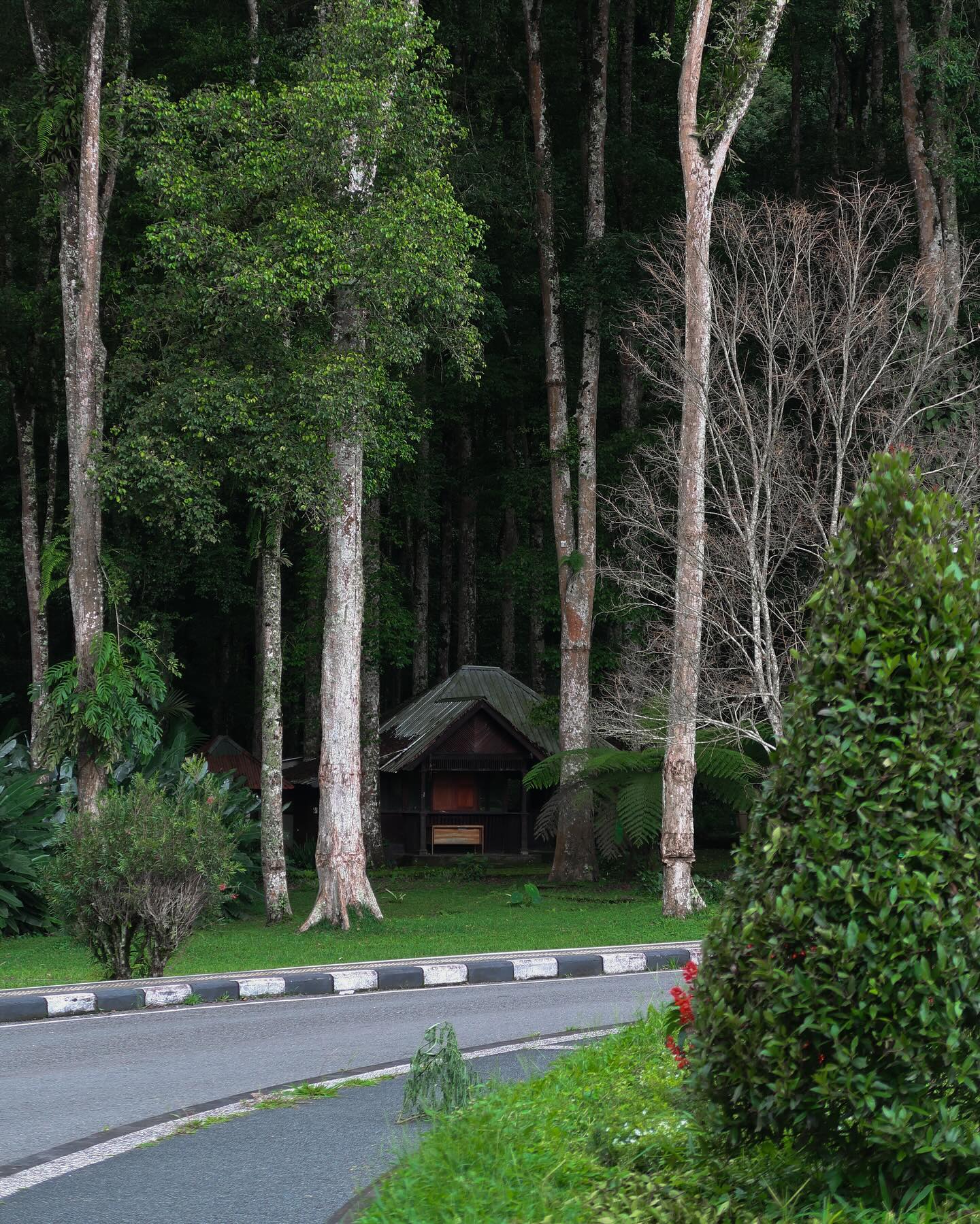 siyamore_ instagram image archive image