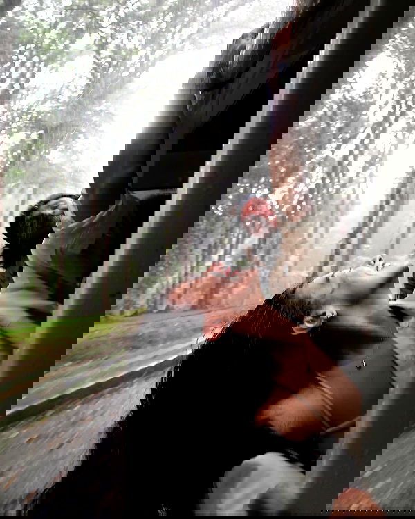 siyamore_ image ~ Altpins