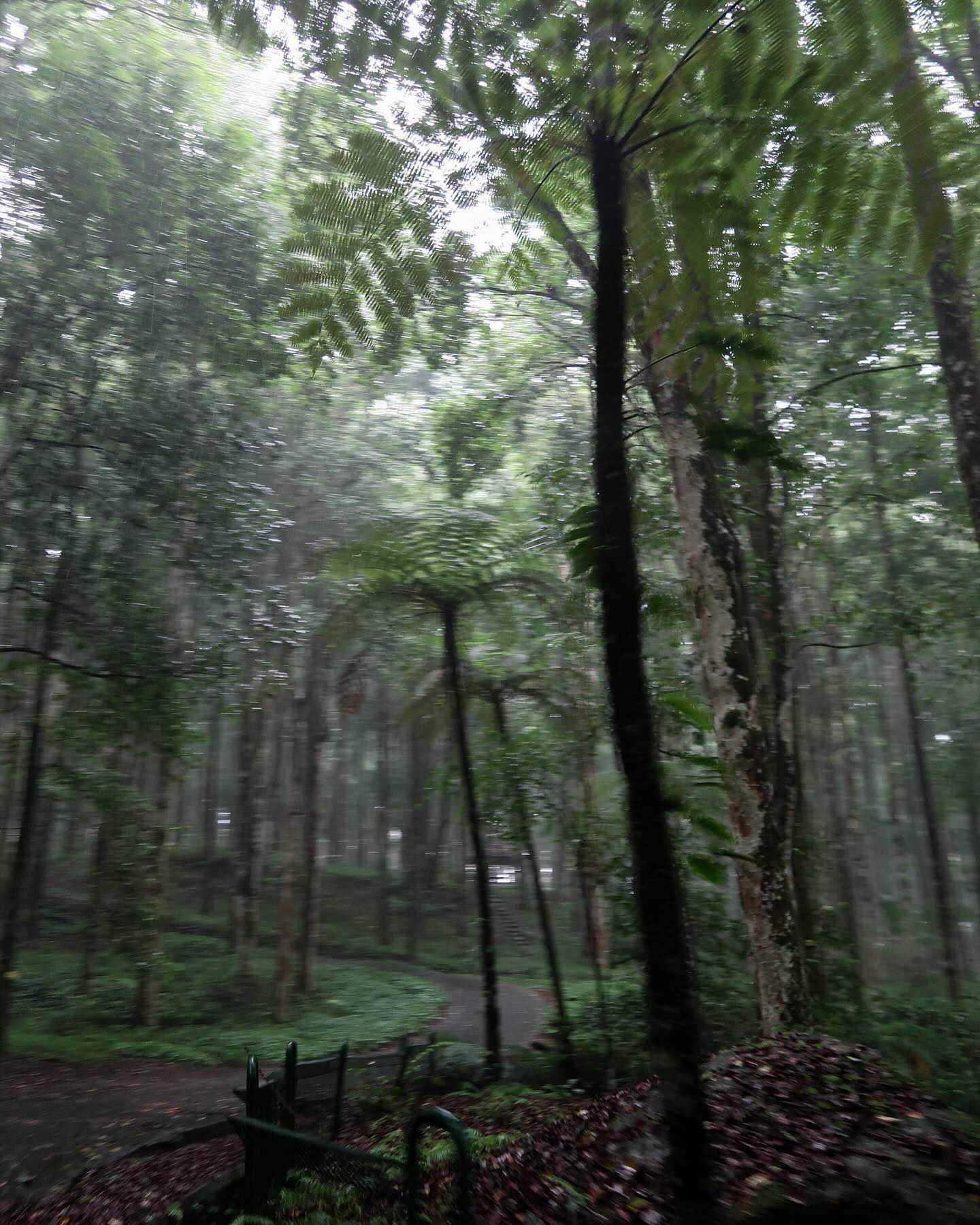 siyamore_ instagram image archive image