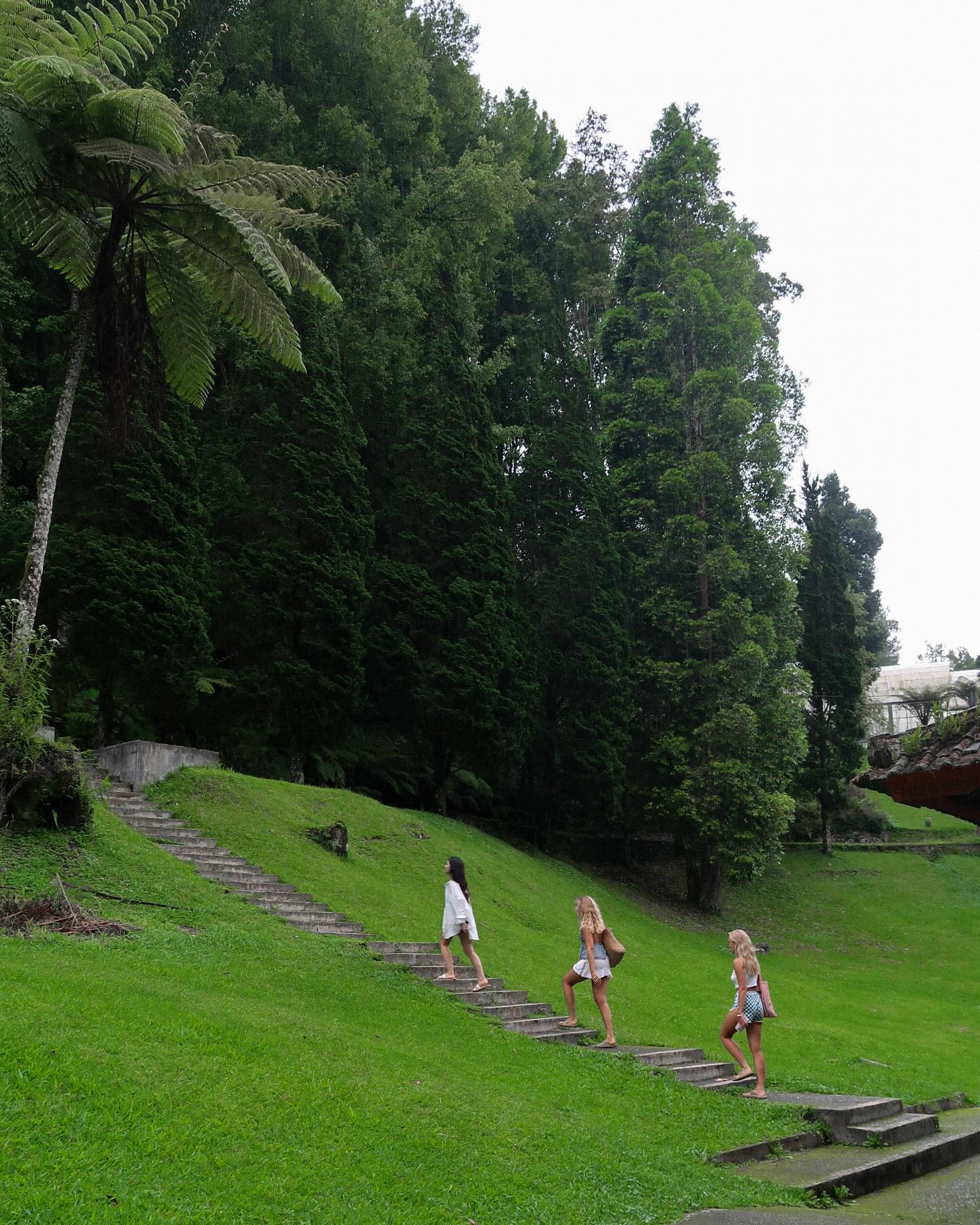 siyamore_ instagram image archive image