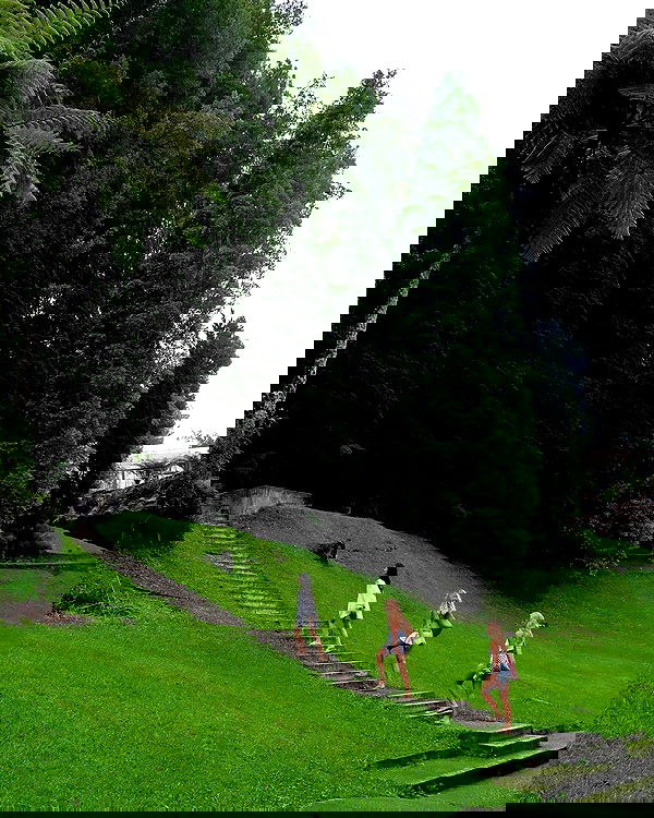 siyamore_ image ~ Altpins