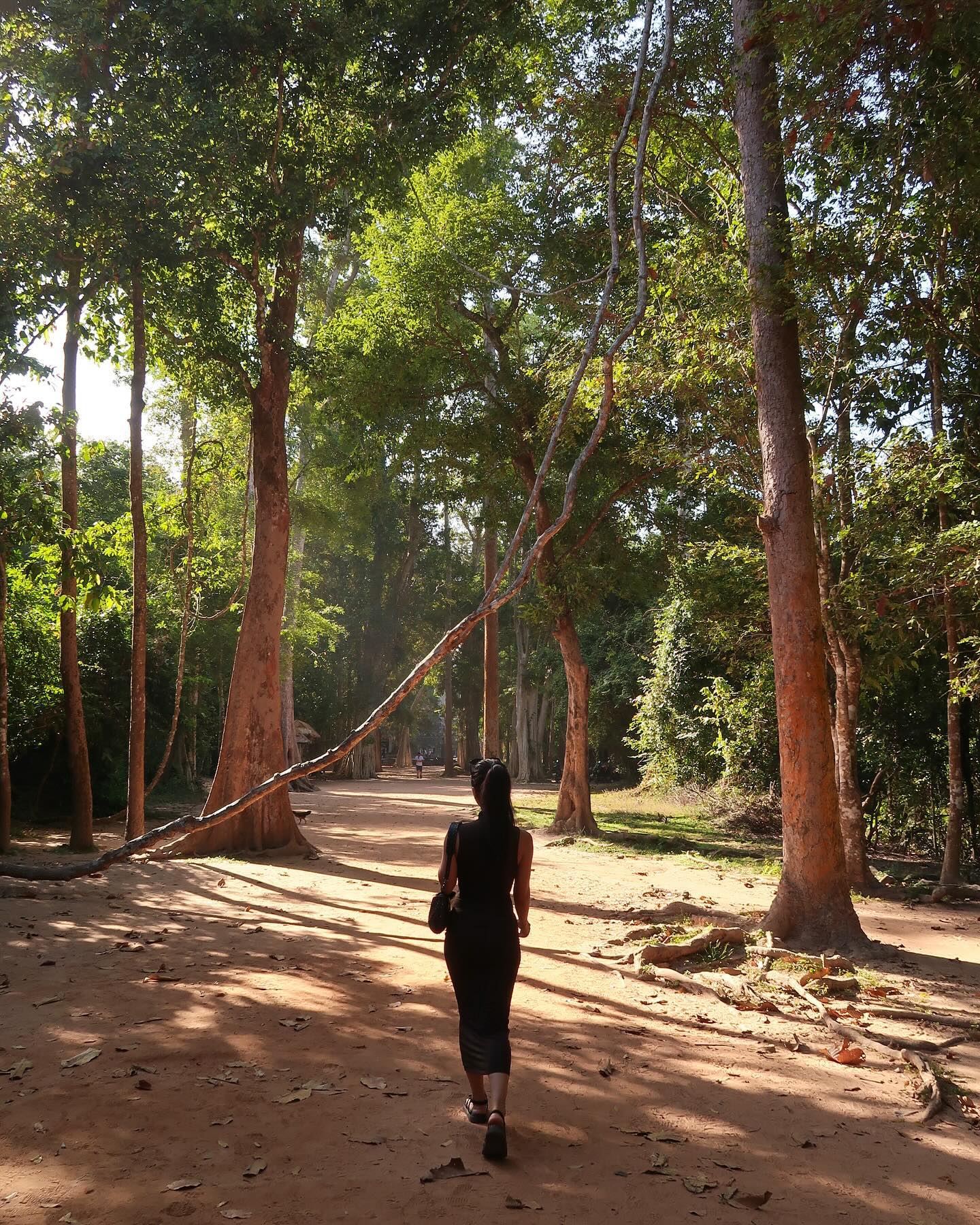 siyamore_ instagram image archive image