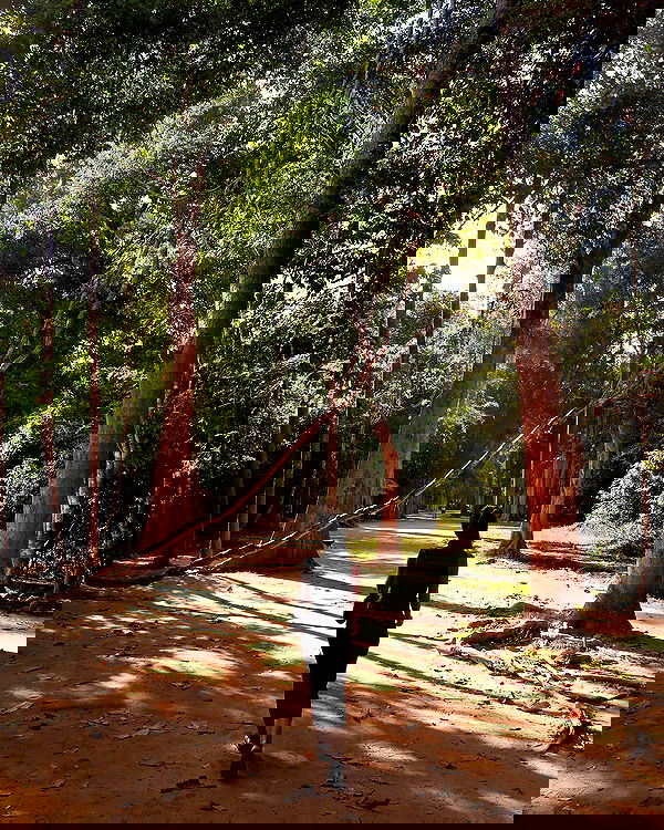 siyamore_ image ~ Altpins