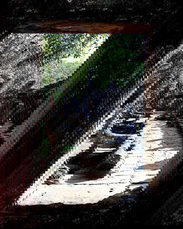 siyamore_ image ~ Altpins