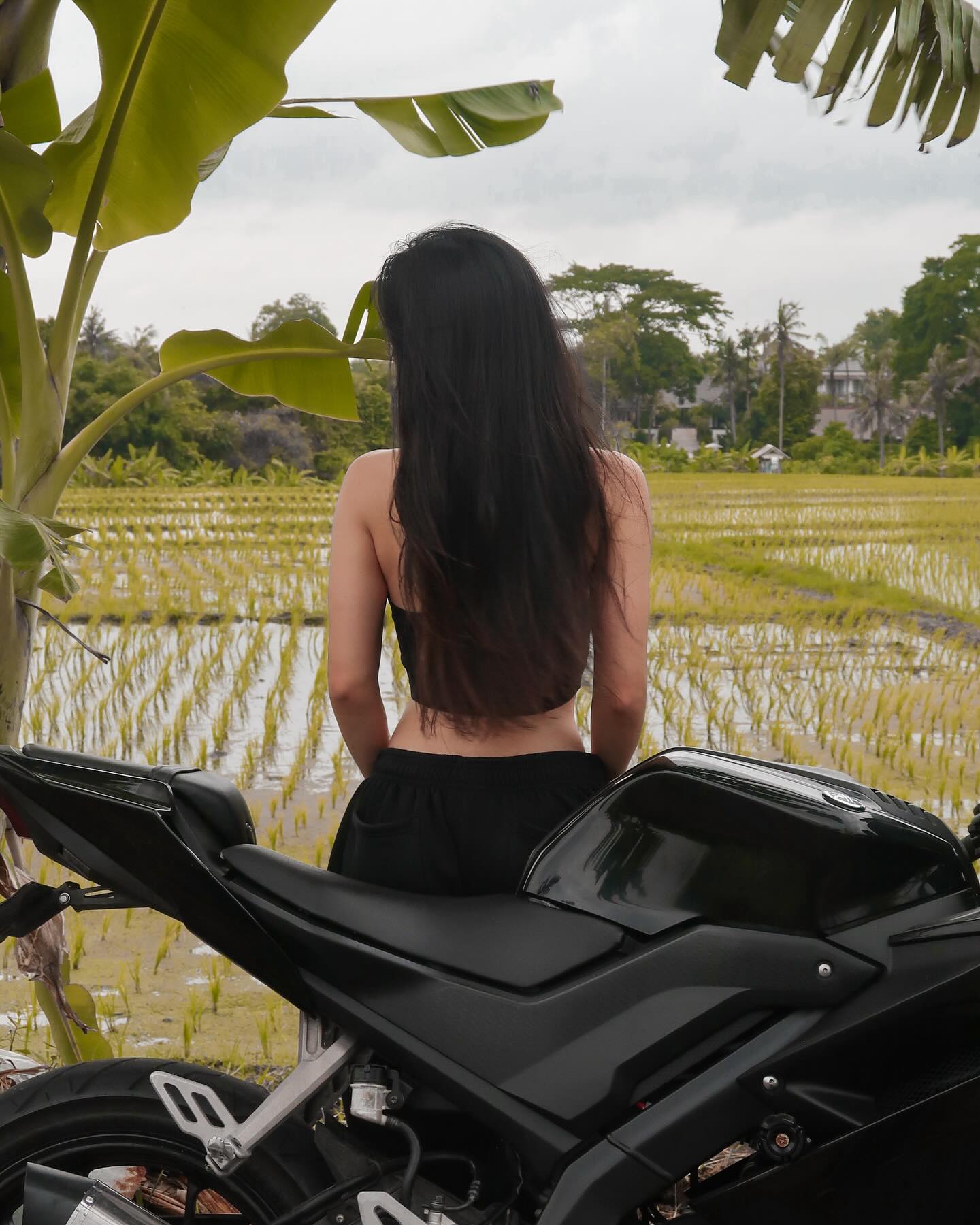 siyamore_ instagram image archive image