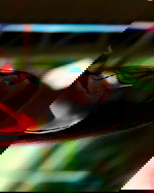 siyamore_ image ~ Altpins