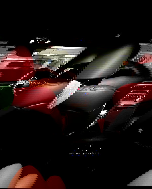 siyamore_ image ~ Altpins