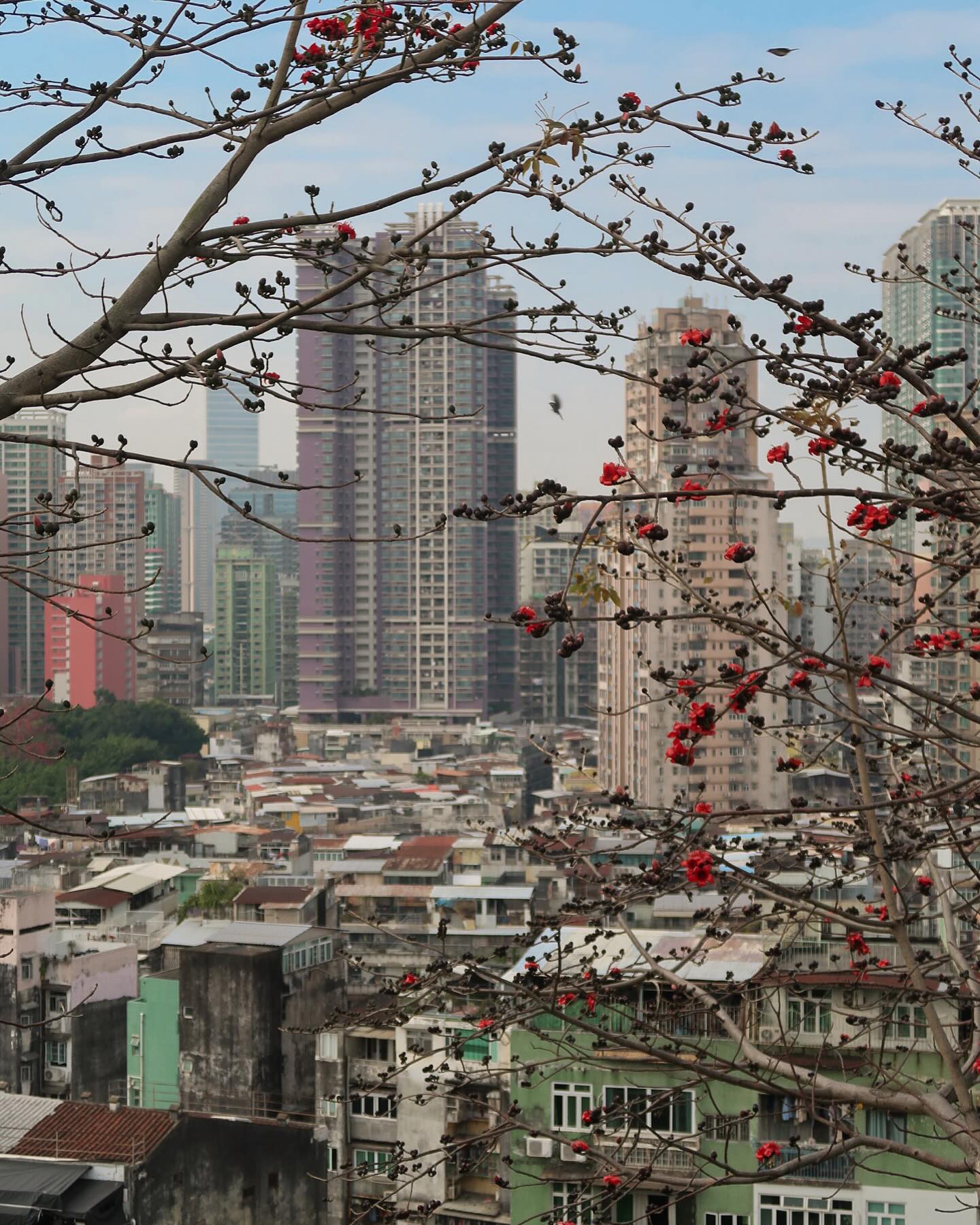 siyamore_ instagram image archive image