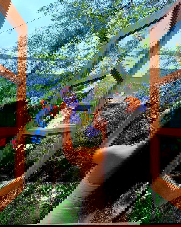 siyamore_ image ~ Altpins