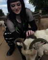 skelutuns Altpins Profile Picture