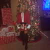 skydavisson_ Altpins Profile Picture