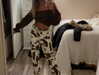 skydavisson_ Altpins Profile Picture