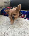 skydavisson_ Altpins Profile Picture