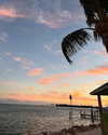 skydavisson_ Altpins Profile Picture