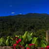 skyleraboujaoude Altpins Profile Picture