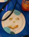 skyleraboujaoude Altpins Profile Picture