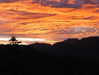 skyleraboujaoude Altpins Profile Picture