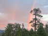 skyleraboujaoude Altpins Profile Picture