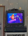 skyleraboujaoude Altpins Profile Picture