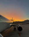 skyleraboujaoude Altpins Profile Picture