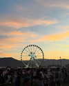 skyleraboujaoude Altpins Profile Picture