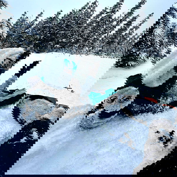 smashedely smashedely archive image