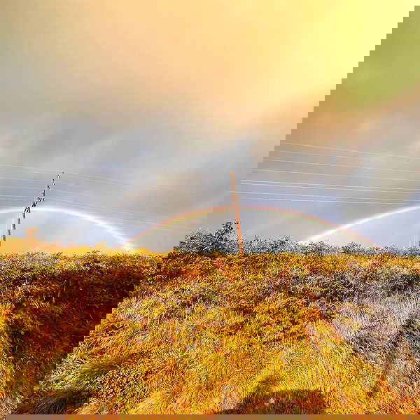 smashedely smashedely archive image